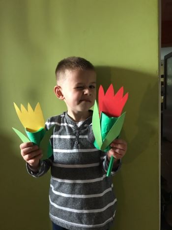Igor tulipany