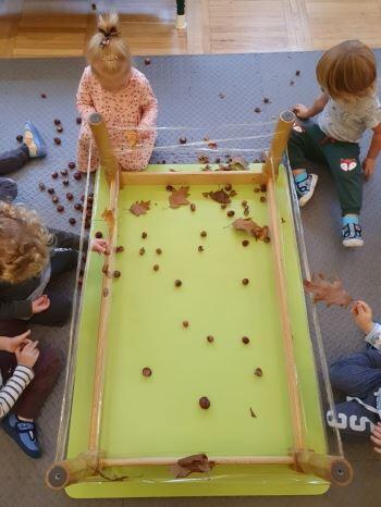 IMG-20201017-WA0007