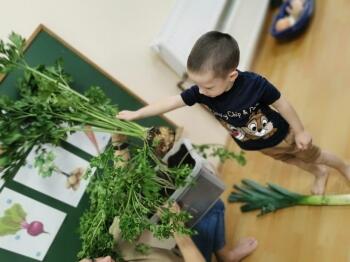 IMG-20211012-WA0010