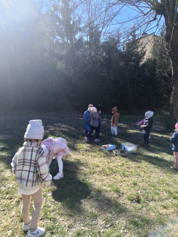 IMG_20250403_105031
