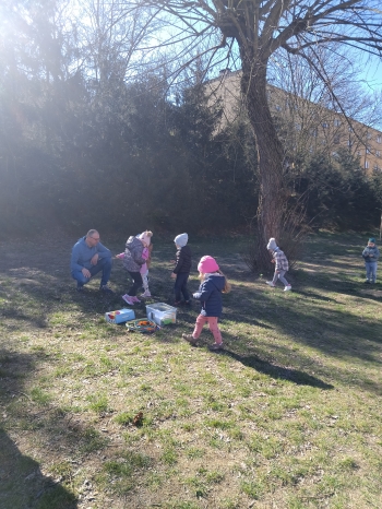 IMG_20250403_105034