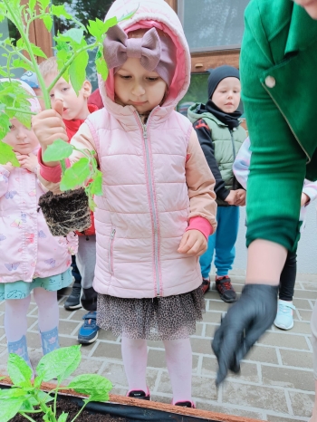 67474e58-0aab-4d1b-b817-68140f7c9f6a.jpeg