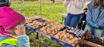 82931a48-9d63-46a9-9ddc-2028d24c5f7d