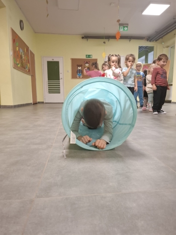 d35d0462-ddd6-4e2c-bda8-bf8d4fedf8d1