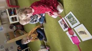 IMG_20260218_091302304_HDR