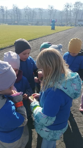 1a5ea189-64c1-4b69-81c3-081b817783dc