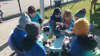 cfd9786b-9bd0-4a46-8156-8909523f0e91