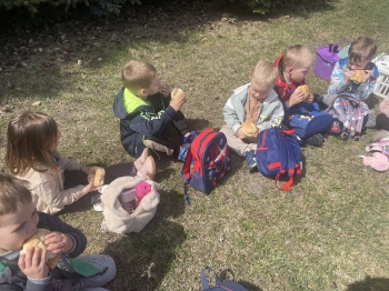 IMG_0937.jpeg