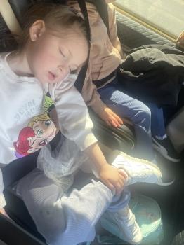 IMG_0955.jpeg