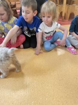 IMG_1143.jpeg