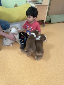 IMG_1159.jpeg