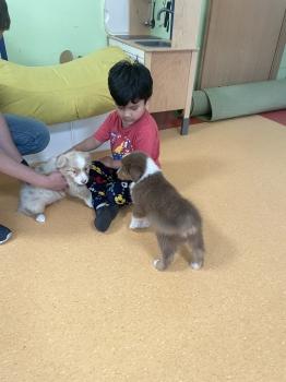 IMG_1158.jpeg