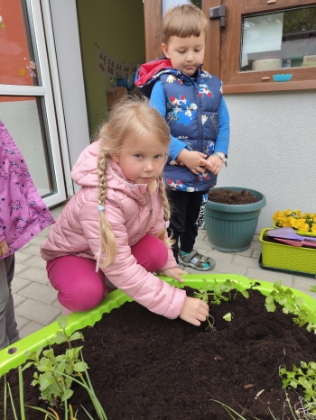 IMG20260513123635