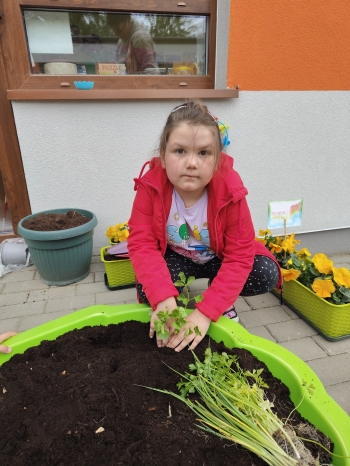 IMG20260513123318