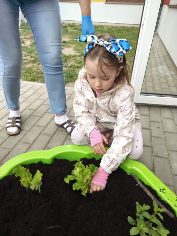 IMG20260513122530
