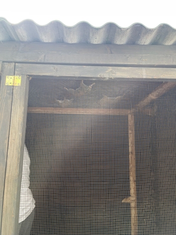 IMG-20260521-WA0016