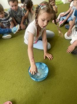 IMG_2129.jpeg