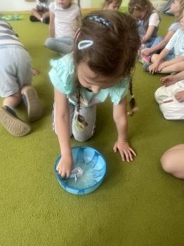 IMG_2127.jpeg
