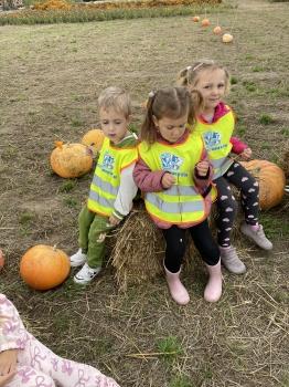 IMG_6440.jpeg