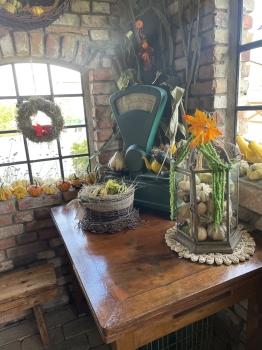 IMG_6730.jpeg