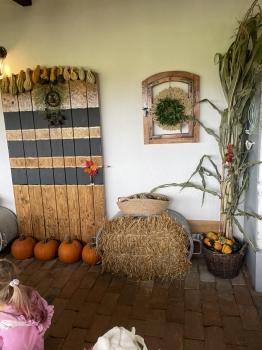 IMG_6731.jpeg