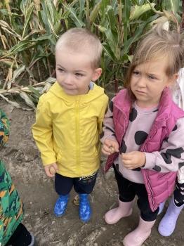 IMG_6801.jpeg