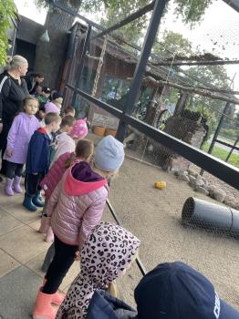 IMG_6765.jpeg