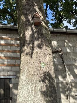 IMG_6762.jpeg