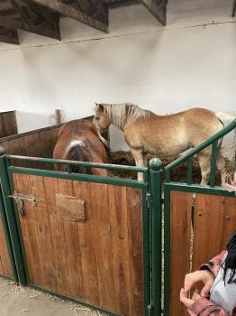 IMG_6744.jpeg