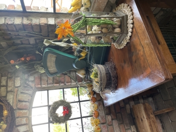 IMG_6730.jpeg