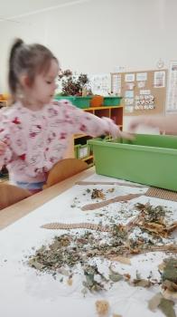IMG_20260929_094415