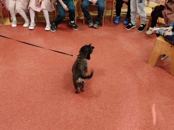 IMG20261007122656