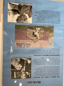 IMG_7554.jpeg