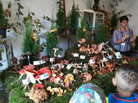 Wycieczka do Powiatowej Stacji Sanitarno-Epidemiologicznej w Czarnkowie na wystawę grzybów