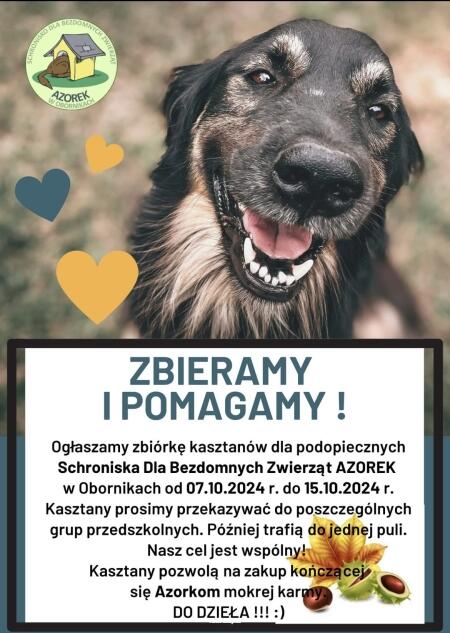 ZBIERAMY I POMAGAMY 