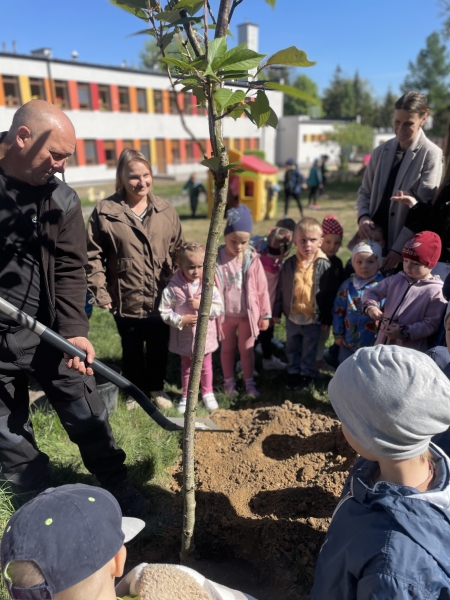 POSADZILIŚMY DRZEWO W NASZYM OGRODZIE PRZEDSZKOLNYM 
