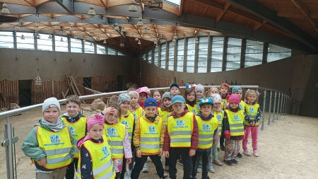 Biedronki w Zoo