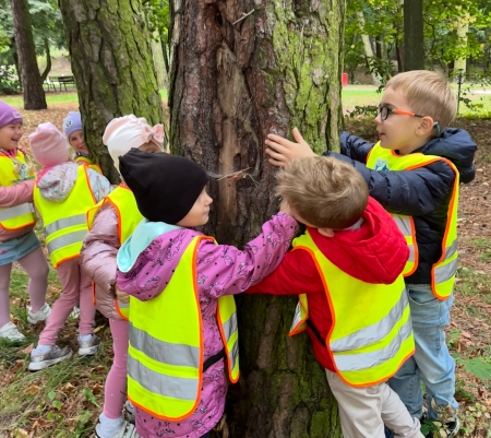 Kampania: „Przytul się do drzewa.”