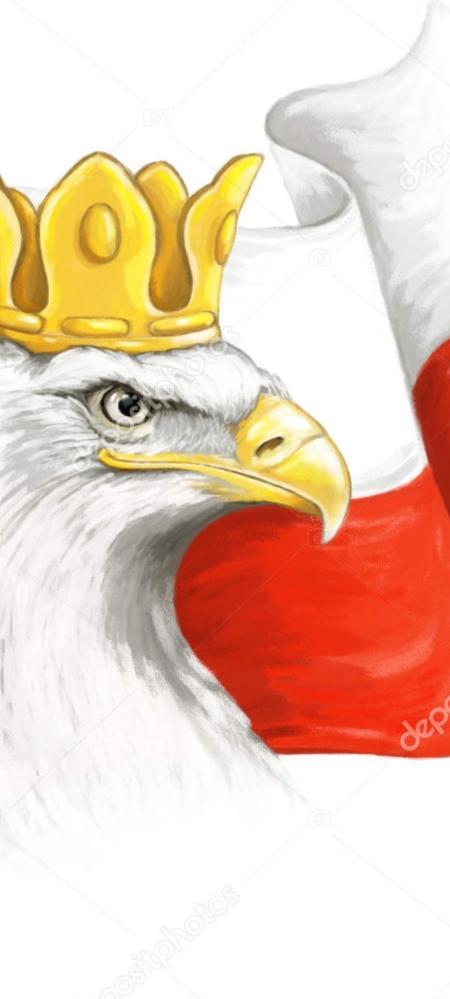 ,,11 LISTOPADA 1918, ZAPAMIĘTAMY JUŻ NA ZAWSZE...''