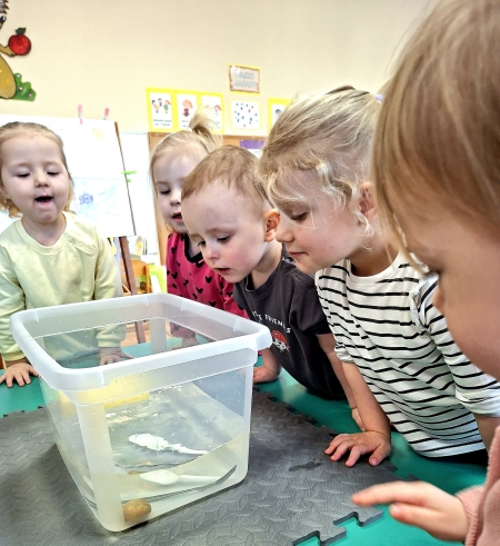 MALI BADACZE - eksperymentujemy!