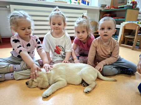 Zajęcia ze szczeniaczkami - PAWS BALANCE